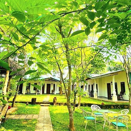 Kingfisher Resort Sigiriya Exterior photo