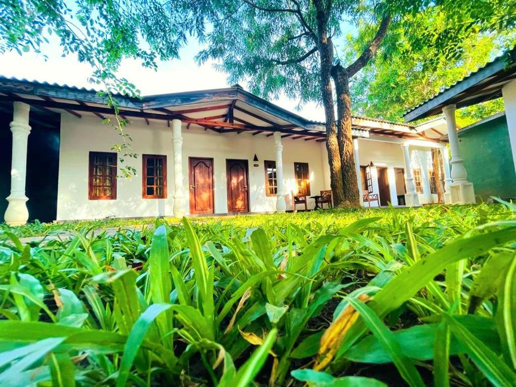 Kingfisher Resort Sigiriya Exterior photo