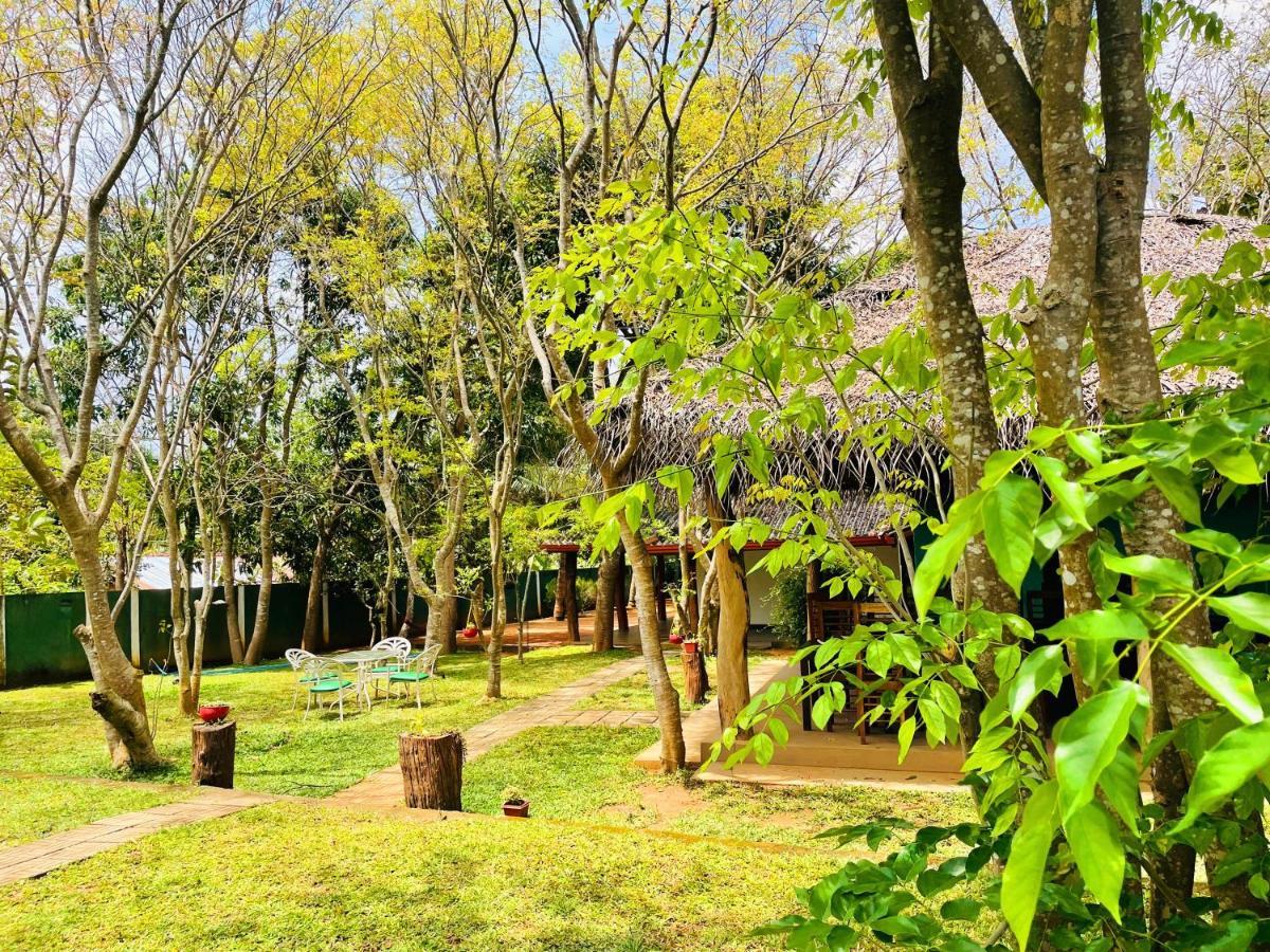 Kingfisher Resort Sigiriya Exterior photo