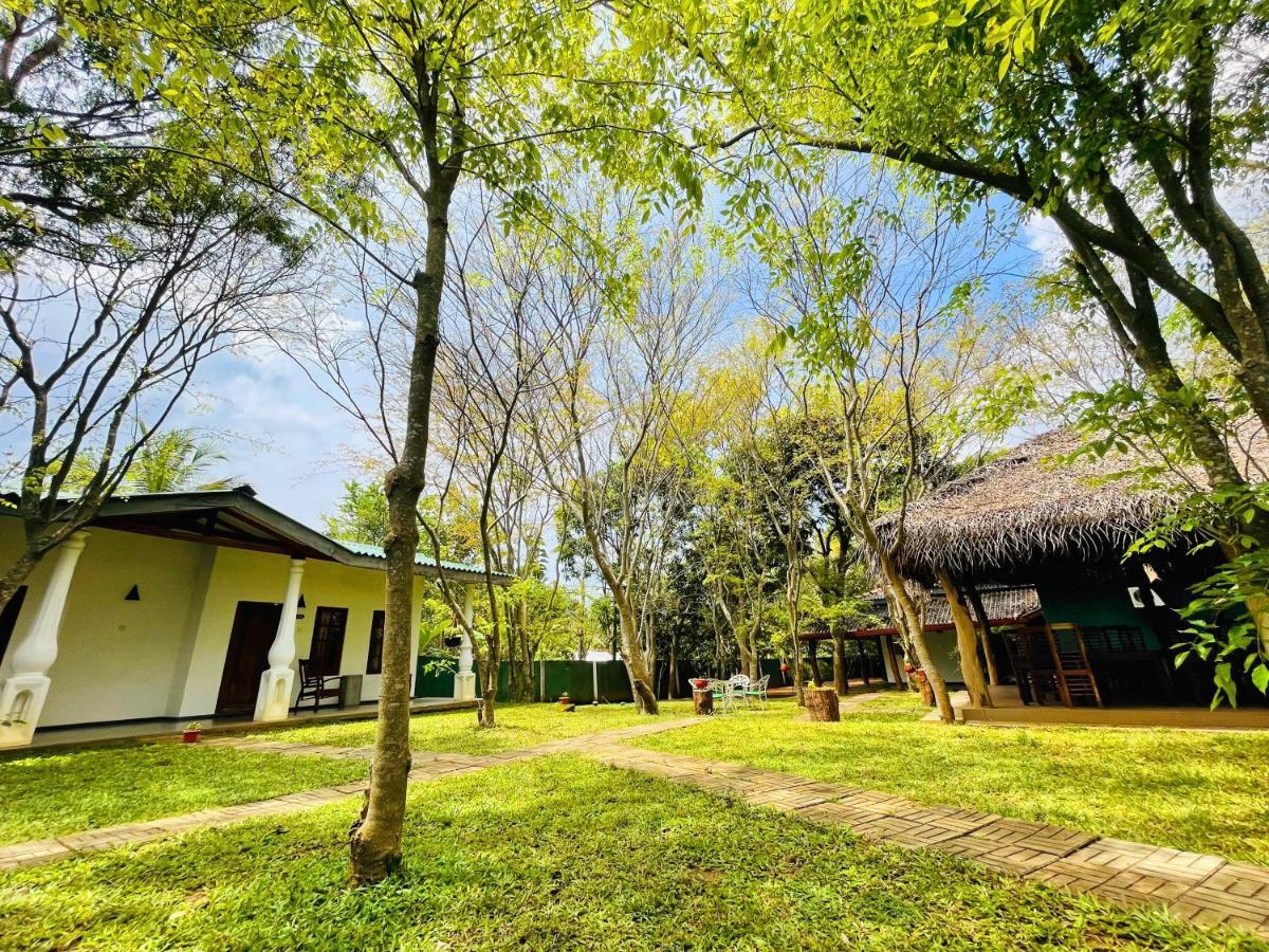 Kingfisher Resort Sigiriya Exterior photo