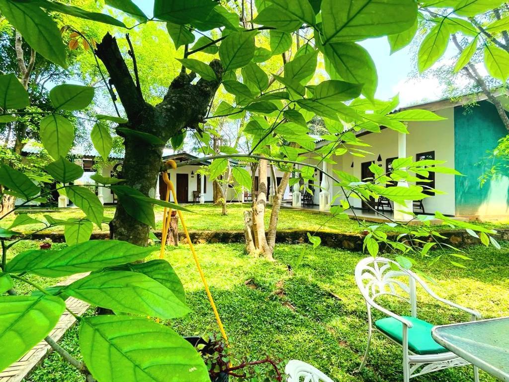 Kingfisher Resort Sigiriya Exterior photo