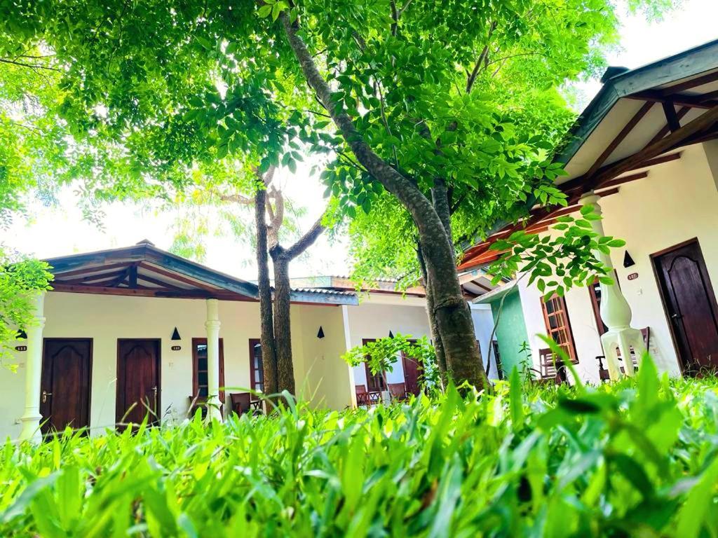Kingfisher Resort Sigiriya Exterior photo